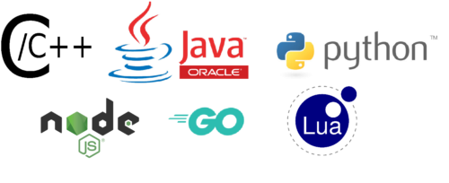 owa4X and owa450 application development is possible in C/C++, Java, Python, NodeJS, Go and Lua programming languages among others